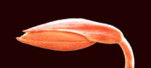 header image 2