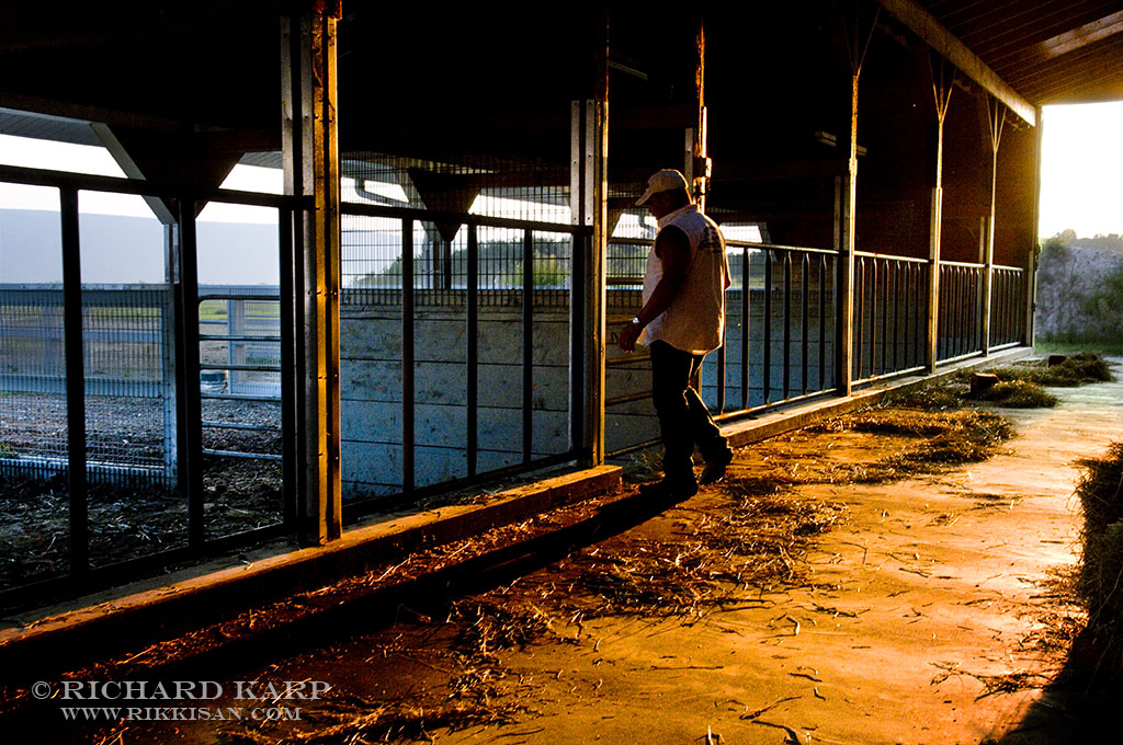 Horse Barn in Muncy   © 2010 Richard Karp