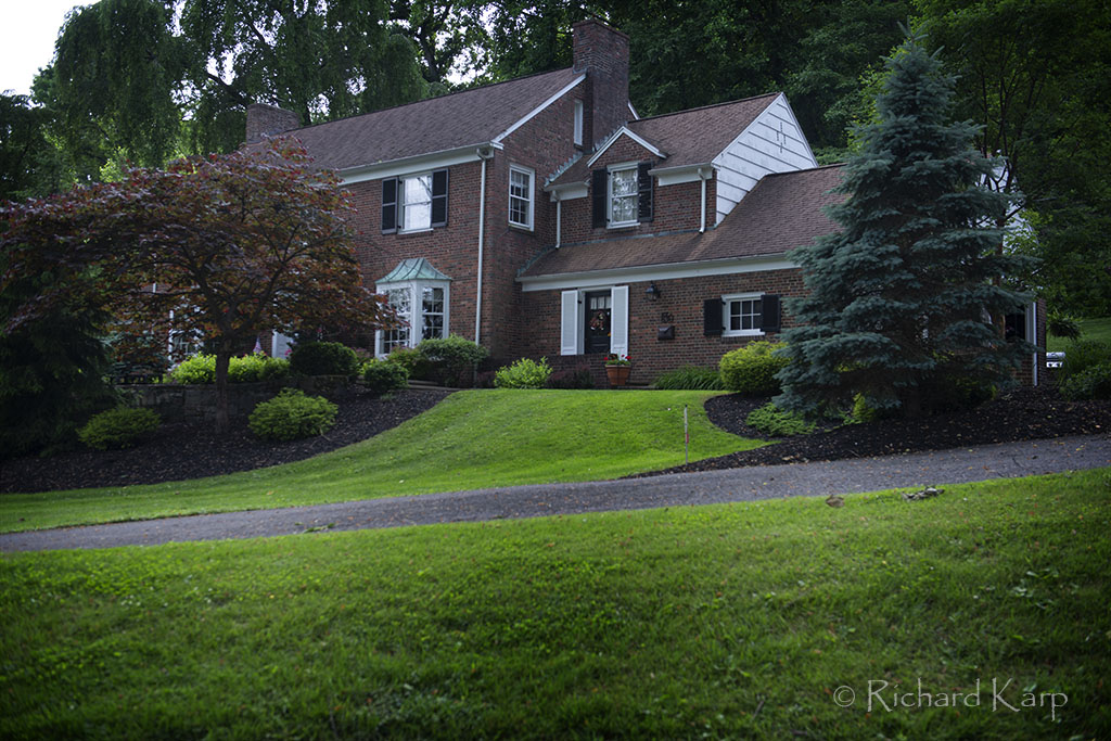 Reynolds House, Vallamont Drive  2019  © Richard Karp