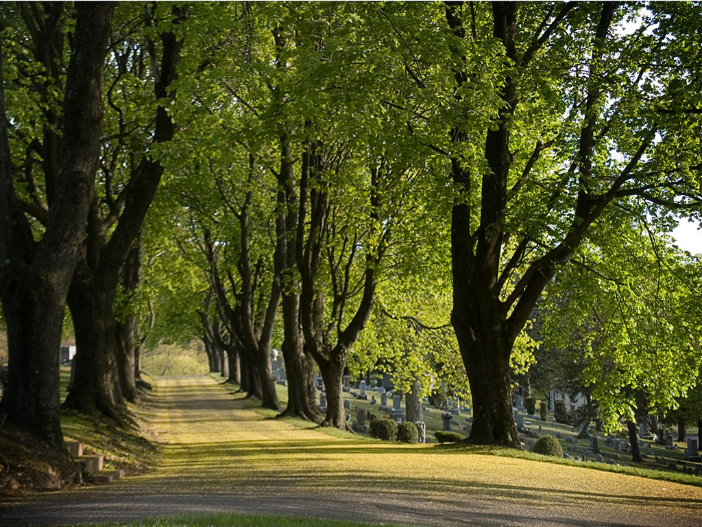 Wildwood Spring - Wildwood Cemetery 2006  © Richard Karp