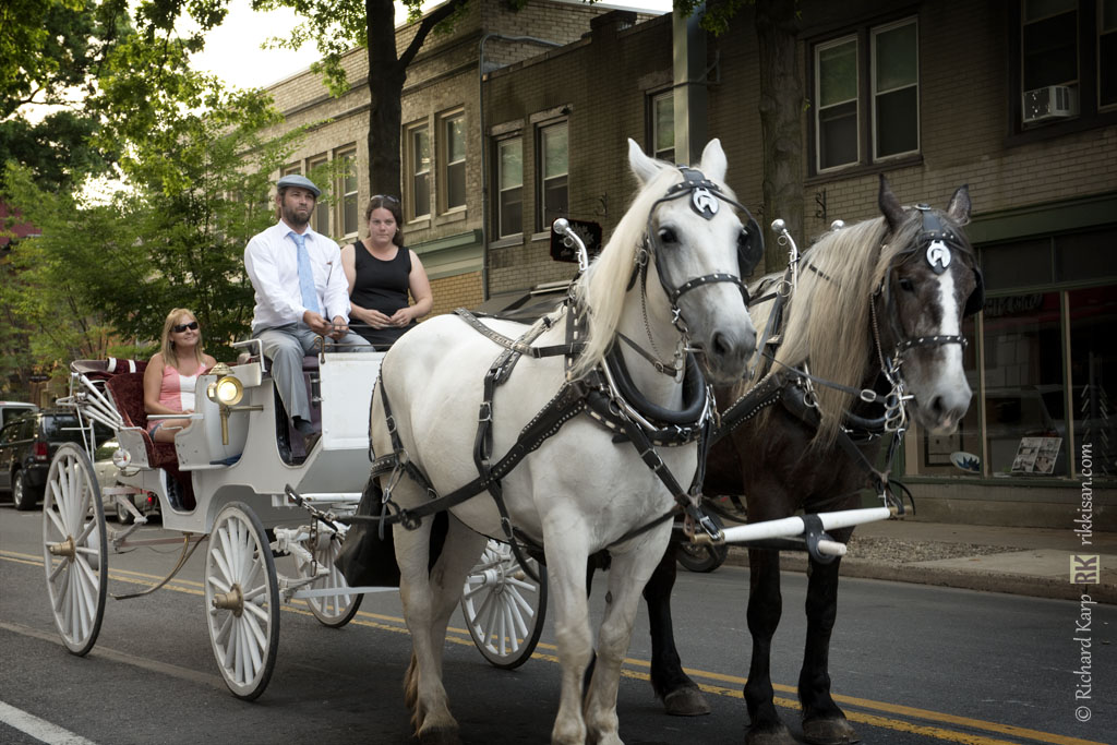 Carriage on William Street, 2014     @ Richard Karp