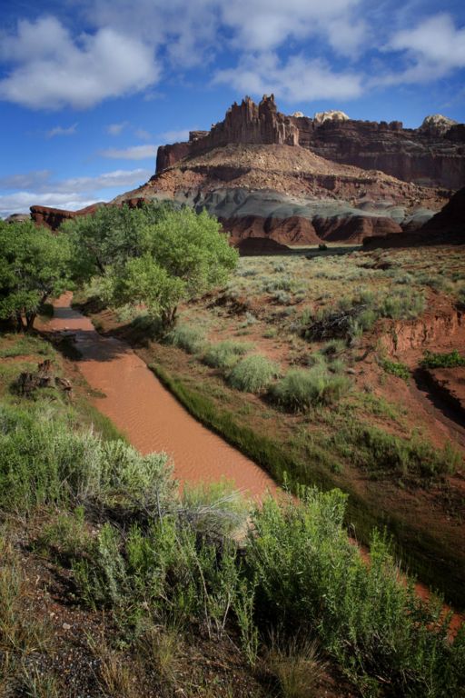 Capitol Reef National Park, Utah   (c) Richard Karp