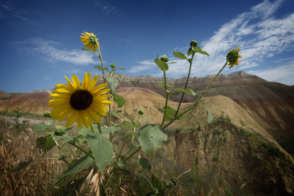 Badllands National Park.     (c) Richard Karp