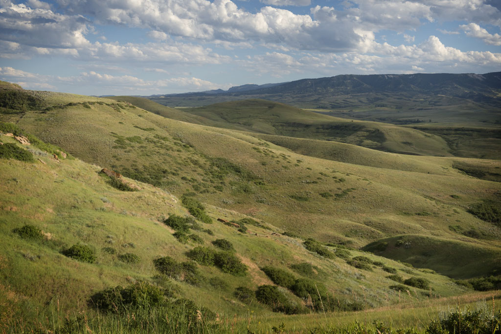 Bighorn Basin in northern Wyoming.    (c) Richard Karp