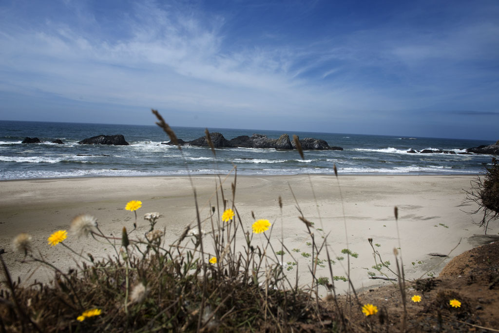 Oregon Coast.     (c) Richard Karp