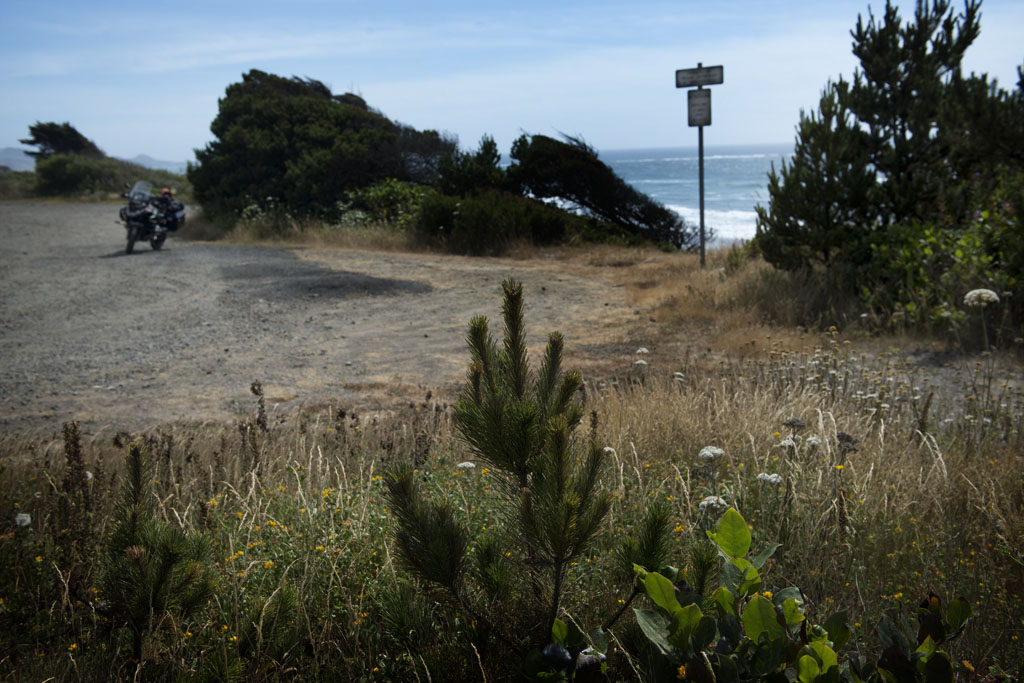 from power nap site.   Oregon Coast.     (c) Richard Karp