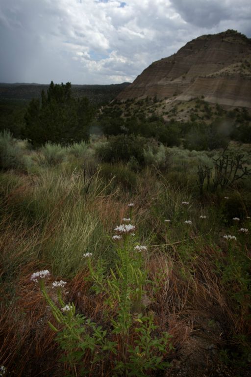 Tent Rocks National Monument, NM                (c) Richard Karp