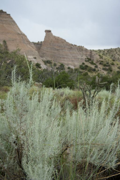 Tent Rocks National Monument, NM                (c) Richard Karp