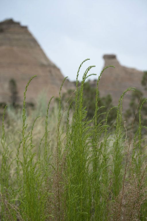 Tent Rocks National Monument, NM                (c) Richard Karp