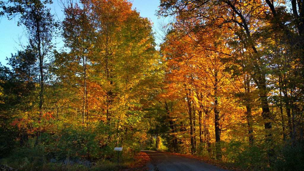 Splash Dam Road.   2015   (c) Richard Karp