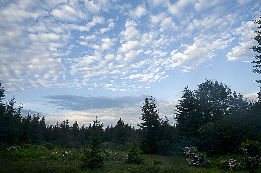 Dolly Sods     © 2009 Richard Karp