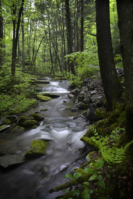 Limbaugh Road, near Pine Creek.  2016    (c) Richard Karp