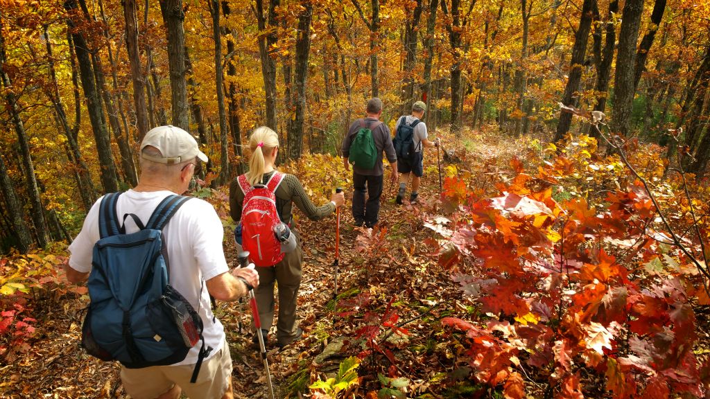 Little Pine State Park, Love Run trail.   2015   (c) Richard Karp 