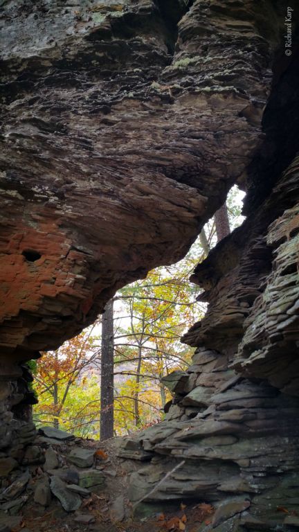 Little Pine State Park, Love Run trail.   2015   (c) Richard Karp