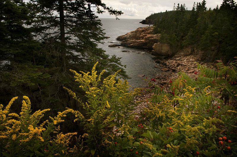 Acadia National Park