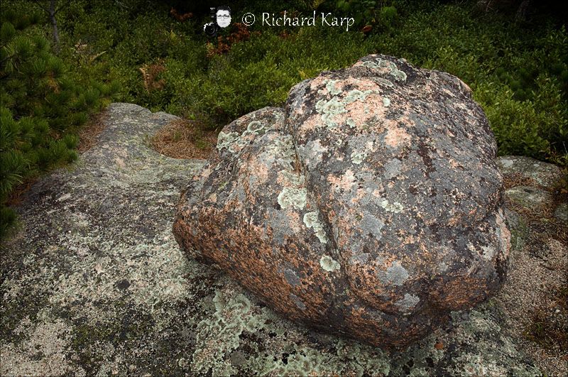 On Dorr Mountain, Acadia National Park