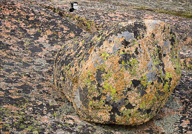 On Dorr Mountain, Acadia National Park