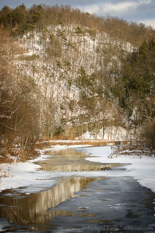 Snow and ducks on Lycoming Creek