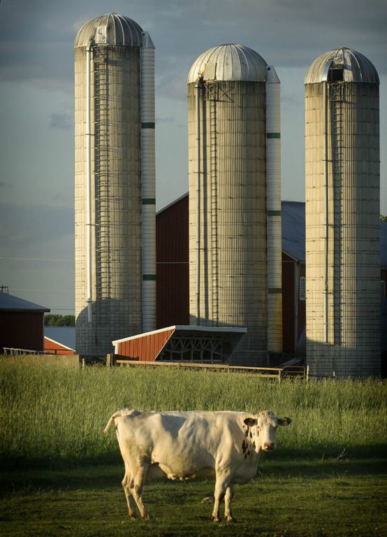 Guarding the Food Supply    © 2010 Richard Karp