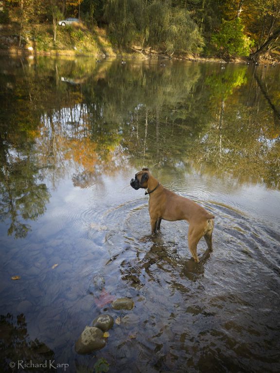 Kalee at the Swimming Hole 2019   © Richard Karp