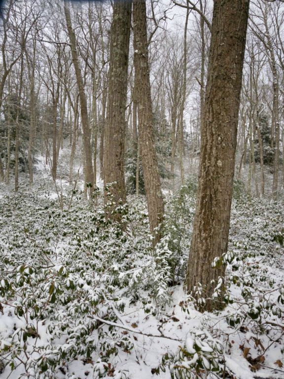 photo by David Burke